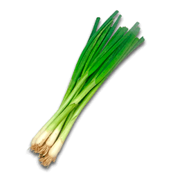 Цибуля зелена